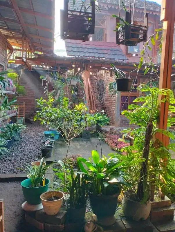 DIJUAL RUMAH  FULL FURNISHED & KEBUN KOPI DI TEMANGGUNG BONUS MOBIL