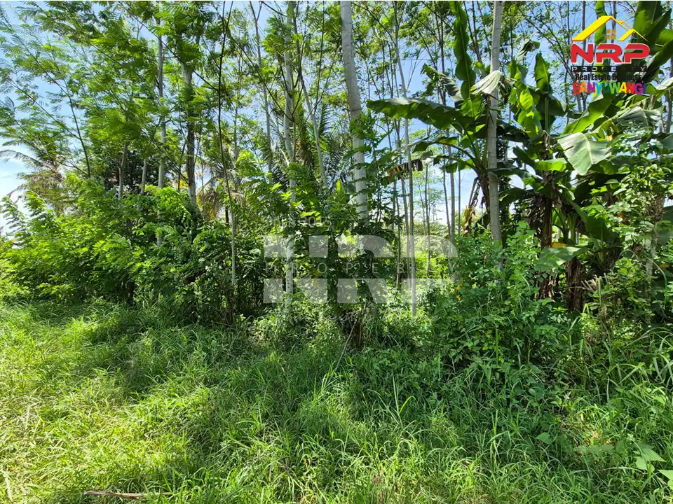 Dijual Tanah Kavling Murah di Perum. Permata Giri Banyuwangi