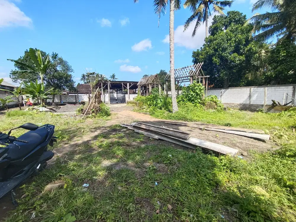 Land For Sale Nice View Sayan Ubud