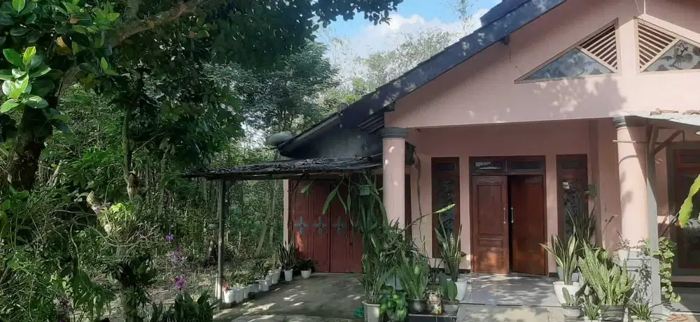 Rumah Murah Nyaman Asri di Grobogan