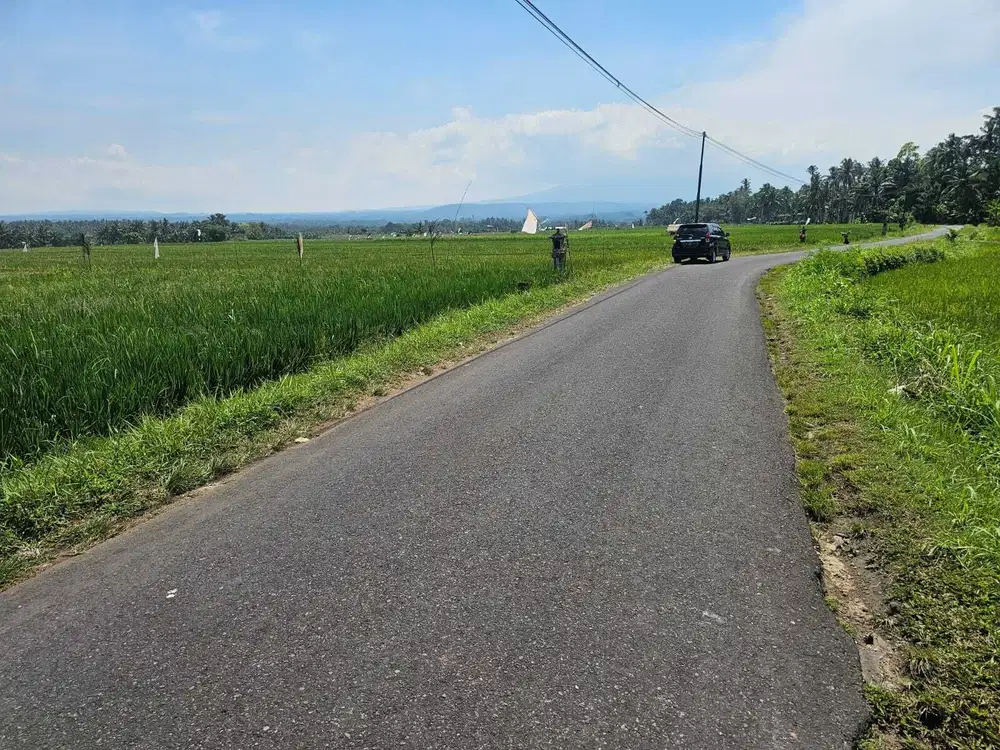 Tanah pertanian desa gadungan tabanan bali