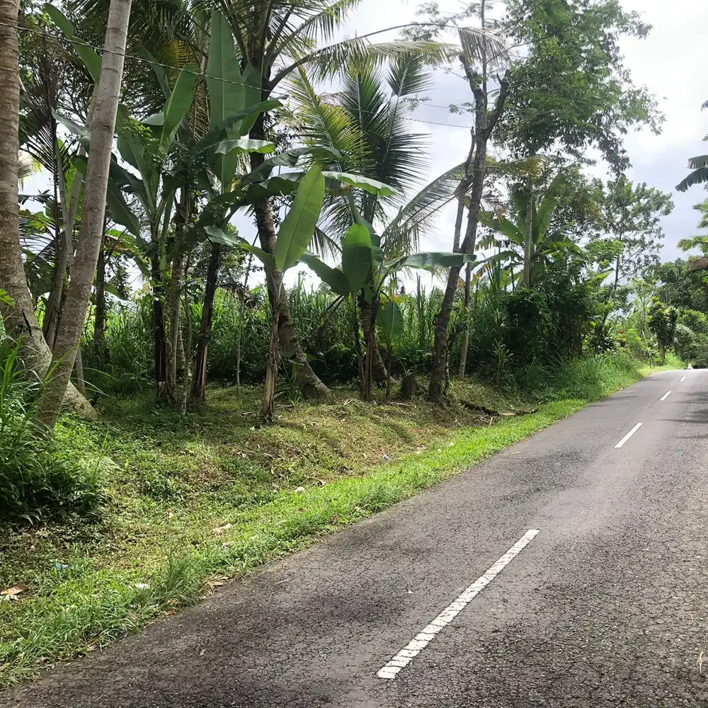 Di jual tanah ubud taro payangan gianyar