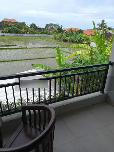 For Rent Villa 4 Bedrooms Cemagi Close To Canggu Rice Field View