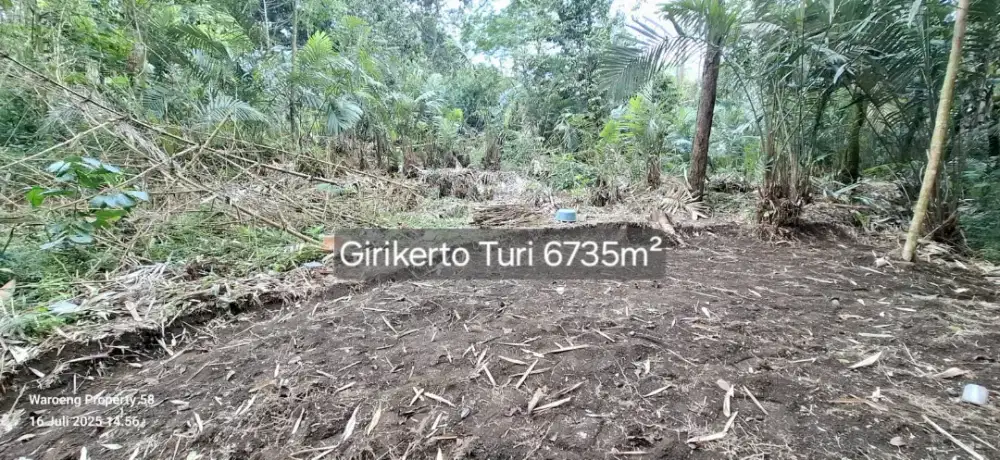 Tanah super murah di Girikerto Turi sleman cocok untuk usaha ternak