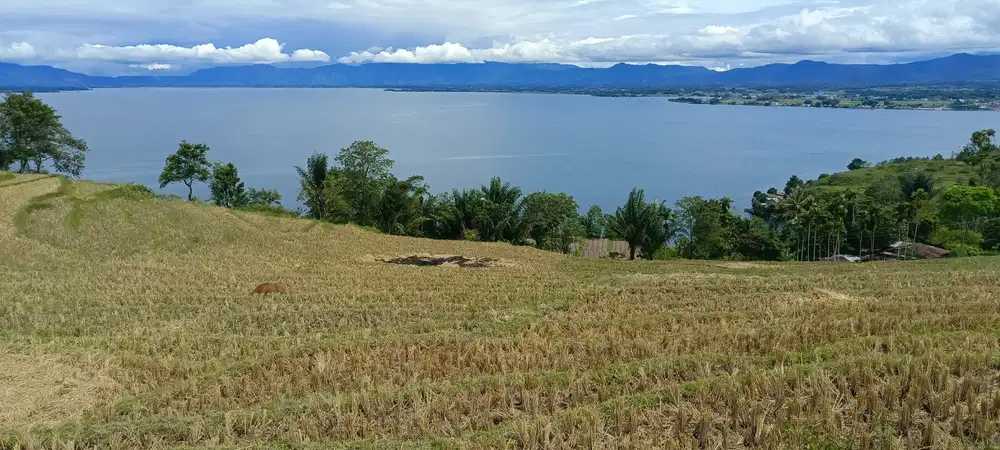 Tanah dekat Tara Bunga, Pemandangan Cantik Danau Toba