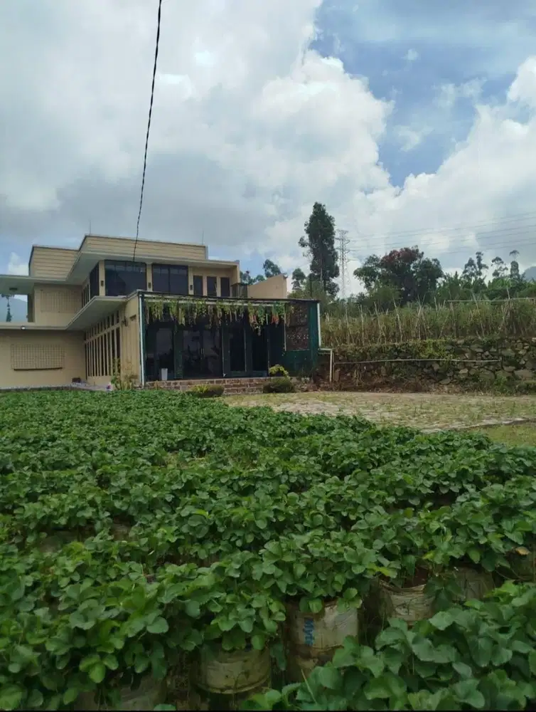 Rumah Villa Bagus Siap Huni View Pegunungan Rancabali Ciwidey Bandung