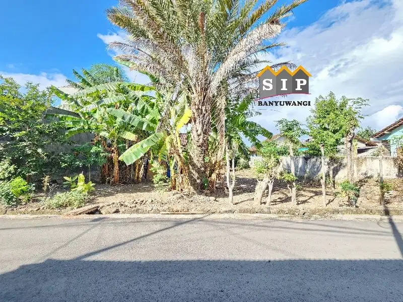 Dijual Tanah Strategis lingkungan Kost dan Pabrik Ketapang Banyuwangi