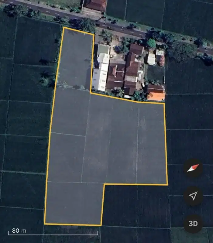 TANAH 1 HEKTAR ROWOTAMTU RAMBIPUJI JEMBER