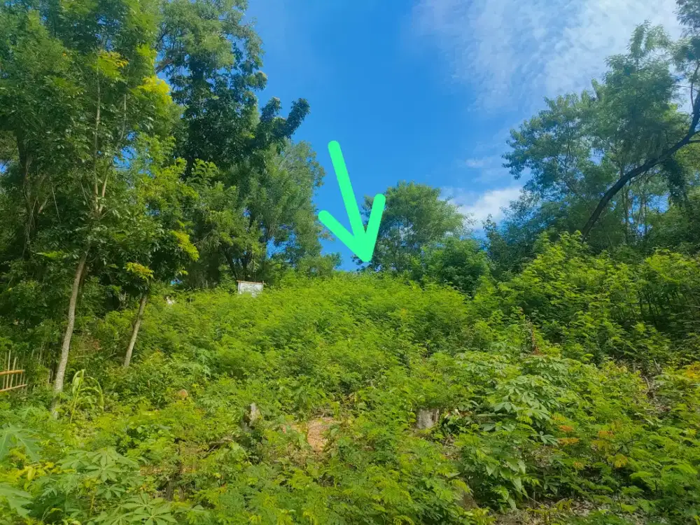 Dijual cepat tanah 508 M² di labuan bajo