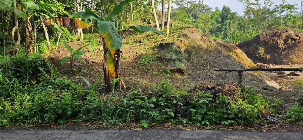 Dijual Tanah Komersil di Daerah Kuningan Dekat Hutan Lindung