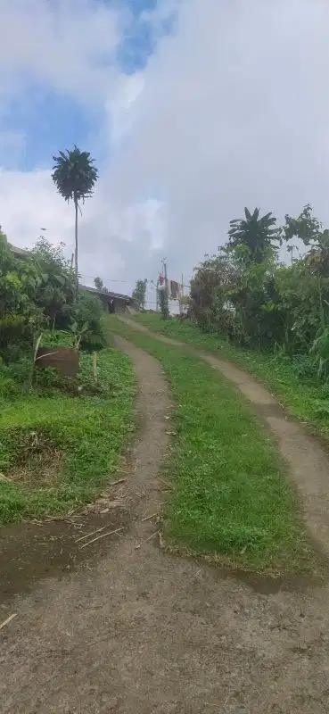 Di jual tanah lokasi Wanagiri, Munduk , Buleleng, Bali
