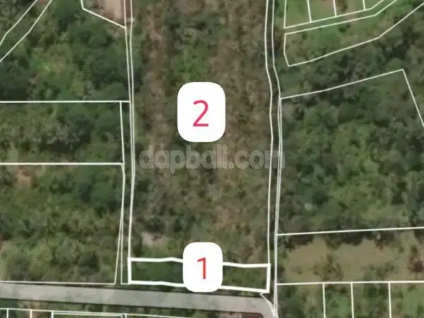 Dijual tanah 11,990m² Kevin durian kane, manggis, nangka, Petang Badun