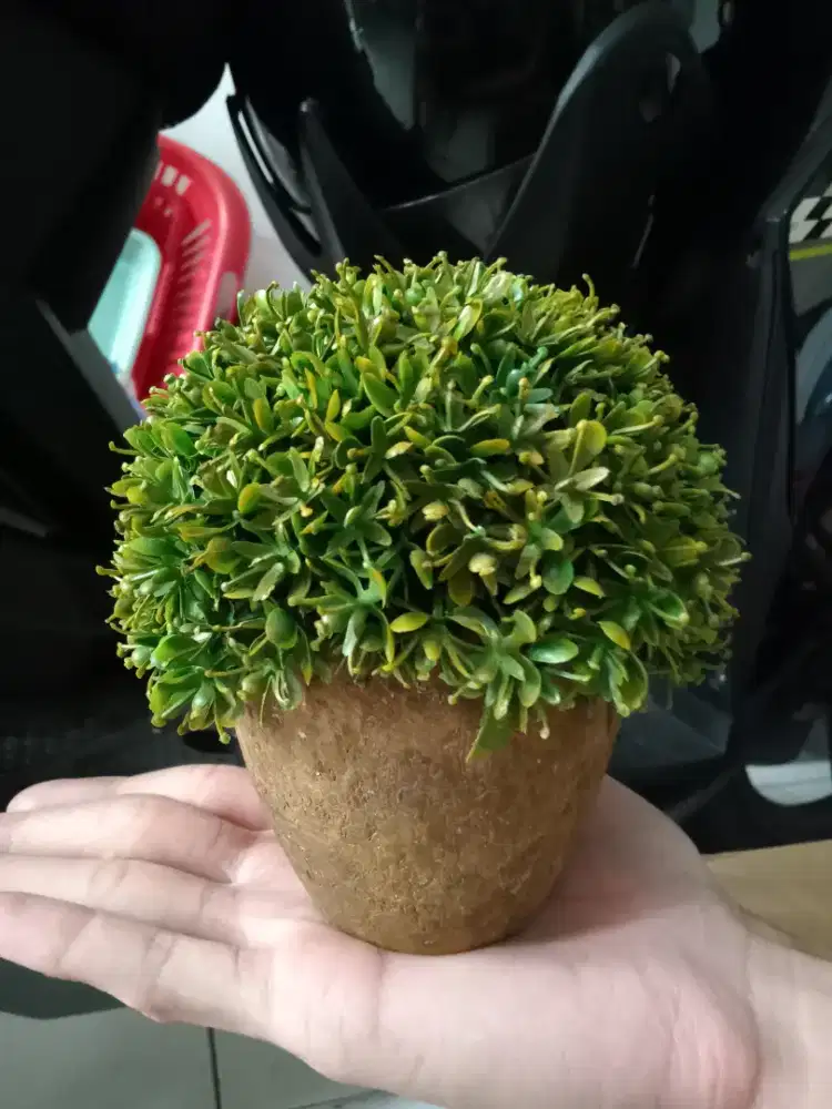 Pajangan Tanaman Plastik