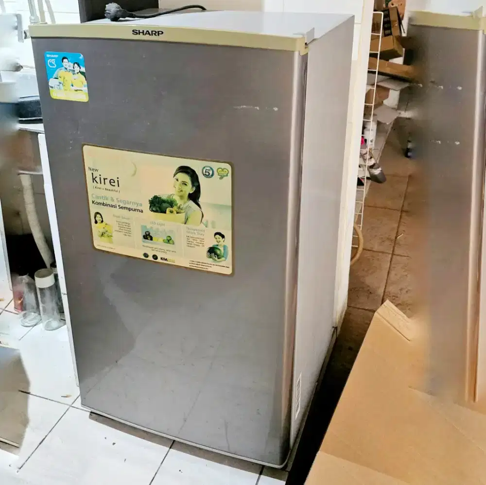 Kulkas 1 pintu dingin