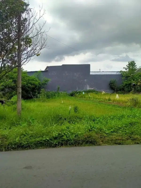 TANAH SHM 184 DEKAT RENGGANIS KALIURANG