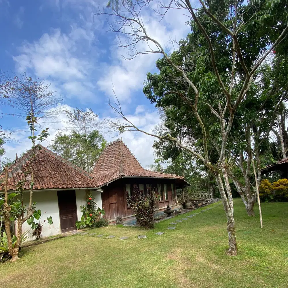 Di Jual tanah ubud kerta payangan gianyar