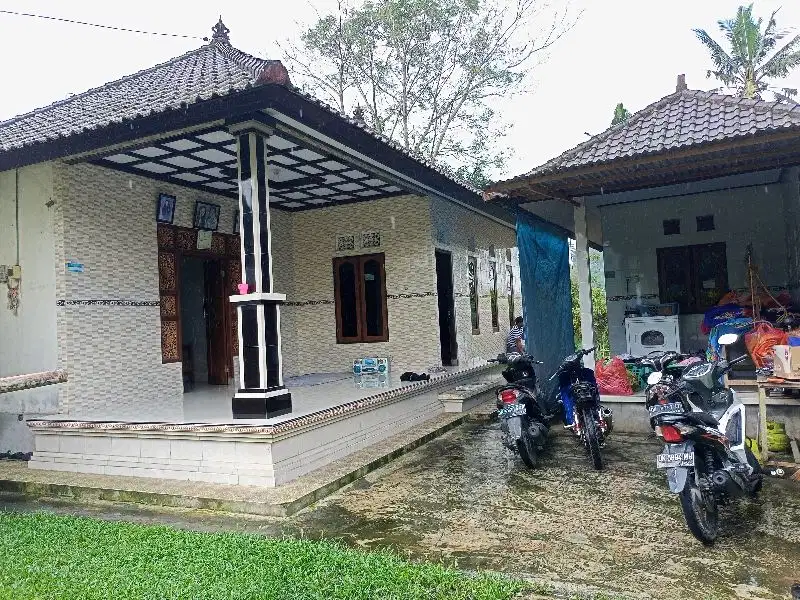 jual tanah baturiti tabanan bonus rumah harga 75jt/are