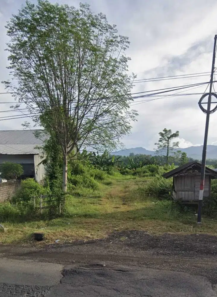 Dijual Tanah Luas Strategis Cocok untuk Investasi Di Jembrana Bali