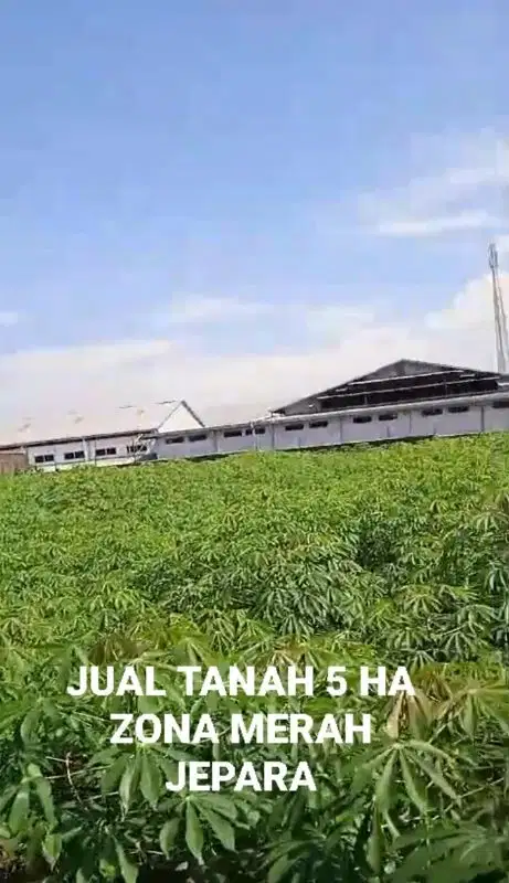 TANAH INDUSTRI BATEALIT JEPARA, 5 HA BISA PERLUASAN