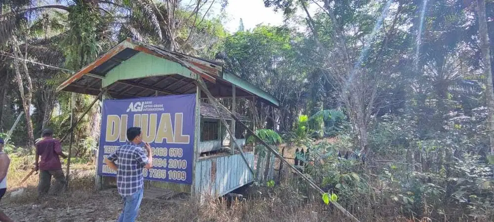 Lahan Seluas 4,5H di Kalimantan Tengah - Cocok untuk Perkebunan!