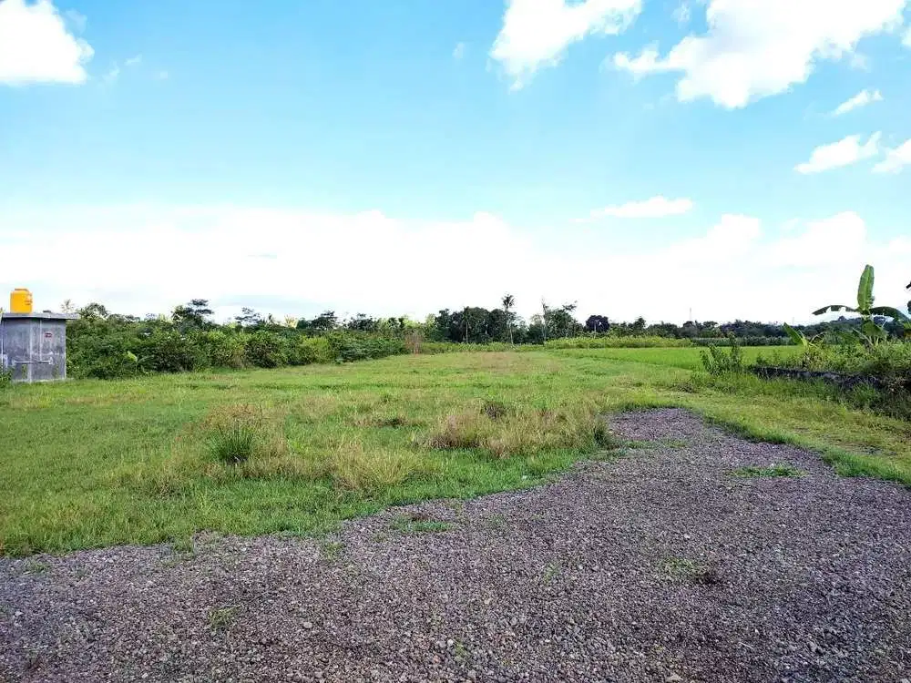 Dijual tanah kavling di  Bondowoso kota