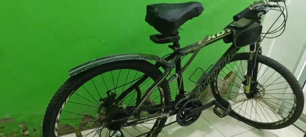 Sepeda MTB merk Exotic