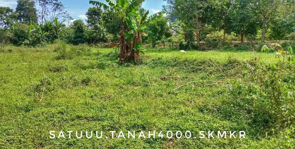 Dijual tanah luas kebun subur view keren pinggir jalan dekat kota