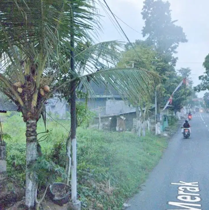 TANAH STRATEGIS NOL JALAN COCOK UNTUK TOKO GUDANG GEBANG JEMBER