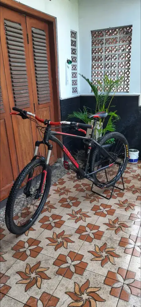 Polygon Xtrada 6 limited edition