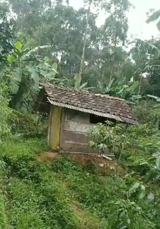 Tanah kebin pasir kemir labak muncang Ciwidey