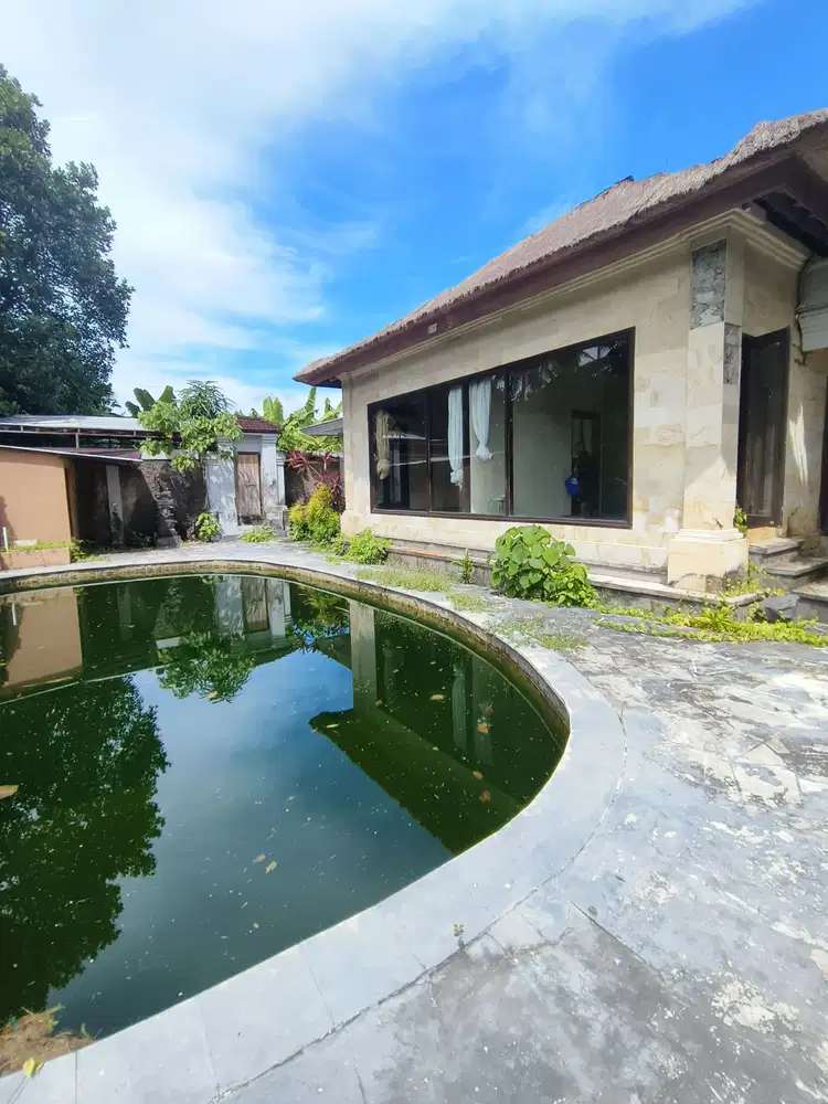 Vilal Ketewel view jungle