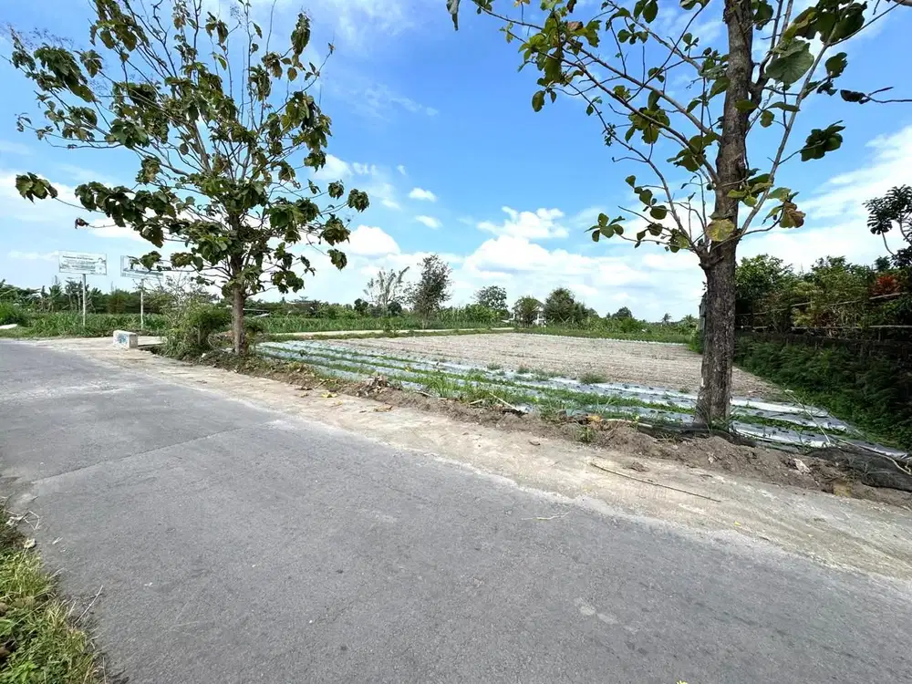 Tepi Jalan Aspal, Tanah Pekarangan Ngaglik Sleman