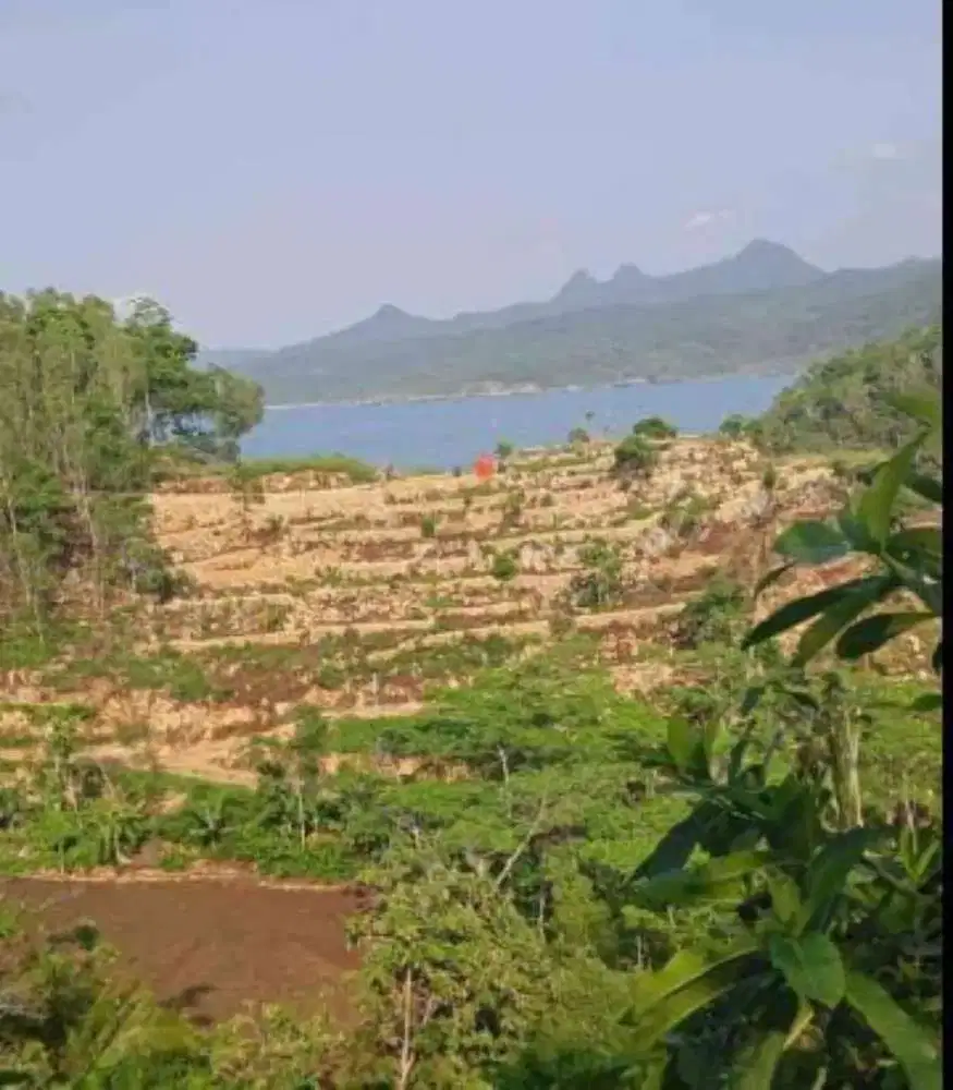 Di jual tanah tepi pantai siwil sidomulyo pacitan