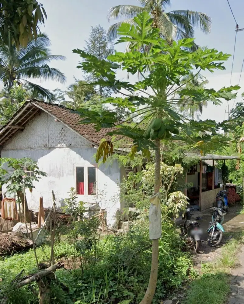 TANAH BONUS RUMAH RIVERSIDE GLAMPING PEMANDANGAN BAGUS