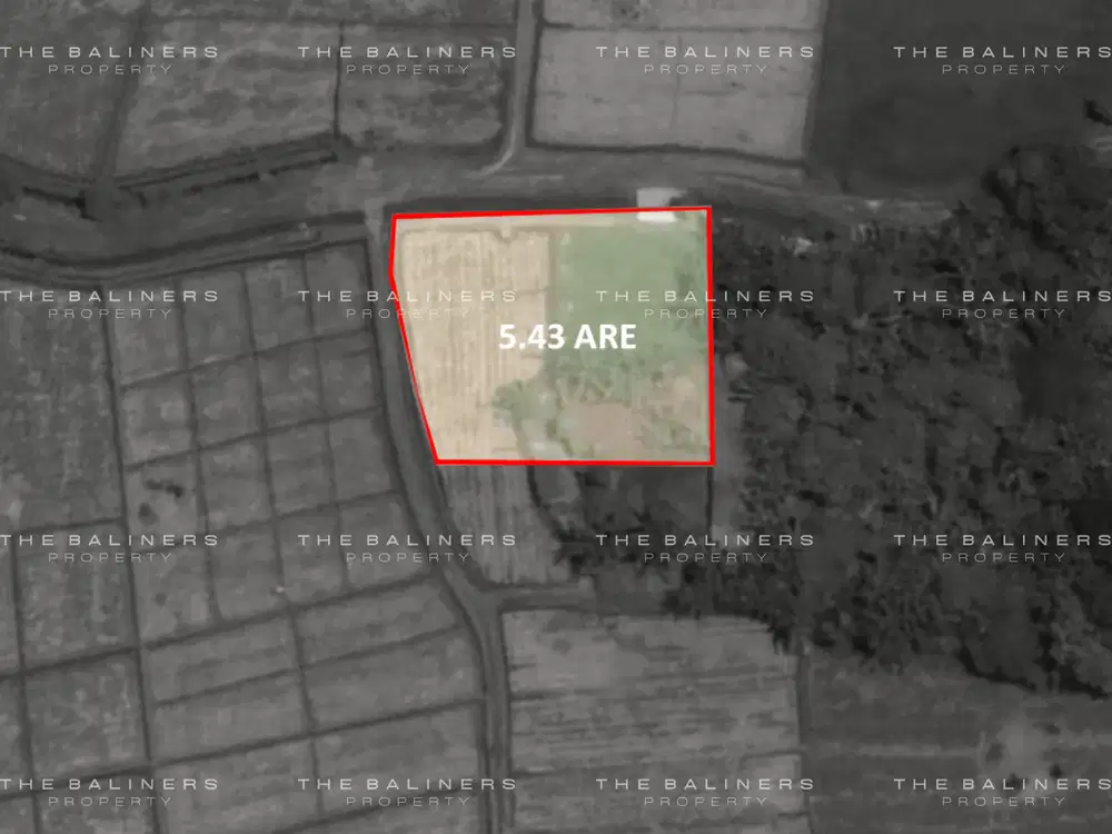 BUILD-READY LEASEHOLD LAND IN YEH GANGGA WITH RICE FIELD VIEWS