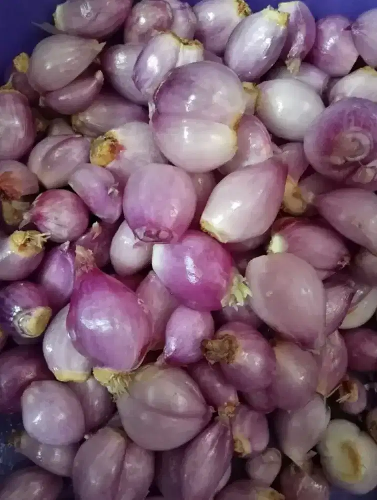 Bawang merah kecil kupas