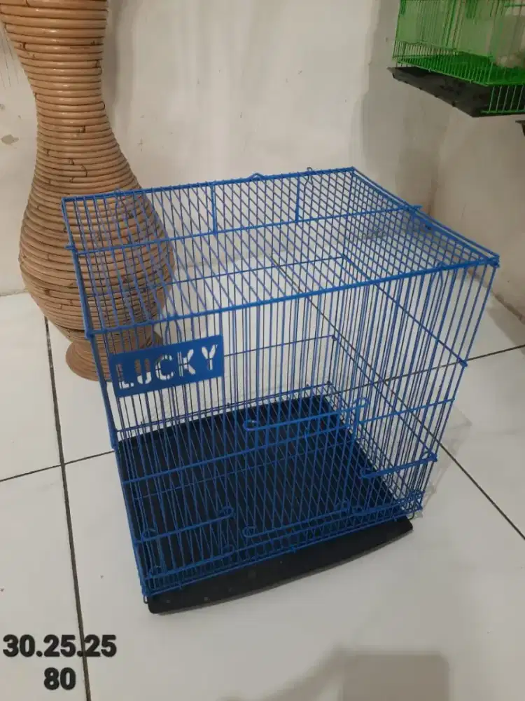 kandang sugarglider/hewan kecil