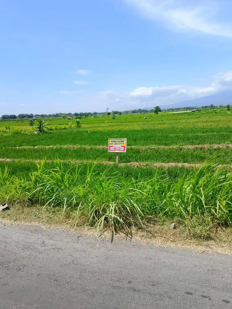 Dijual Tanah Sawah Pinggir Jalan Daerah Bagor-Nganjuk