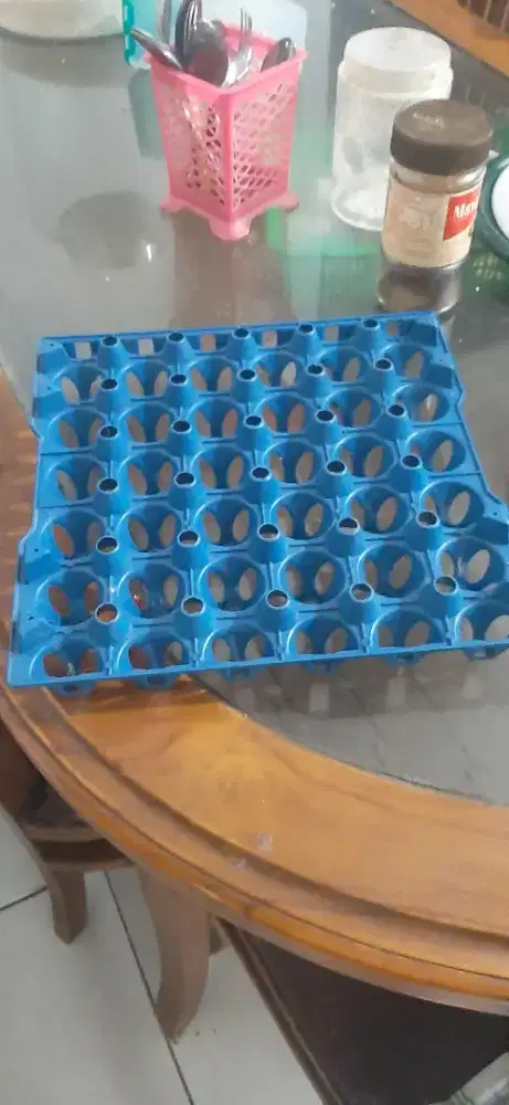 Tray telor Plastik isi 30 butir