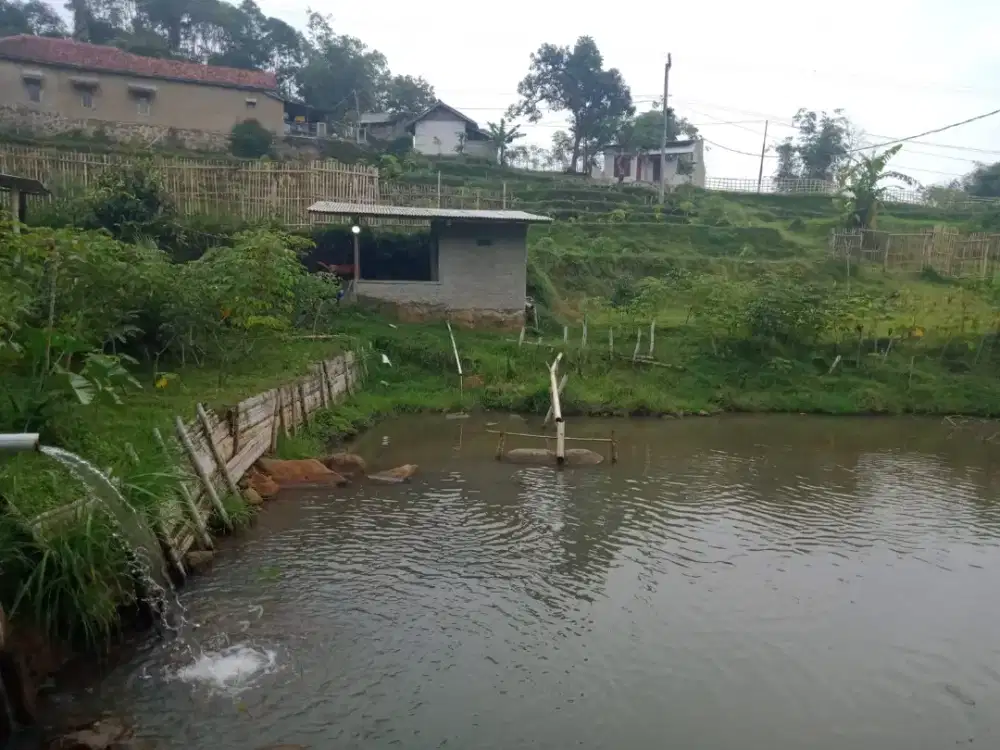 Jual Tanah plus kolam ikan ada mata airnya pinggir jalan desA