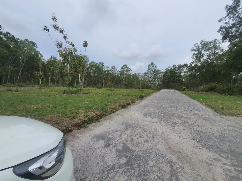 dekat RSUD Wates; Tanah Murah Siap AJB