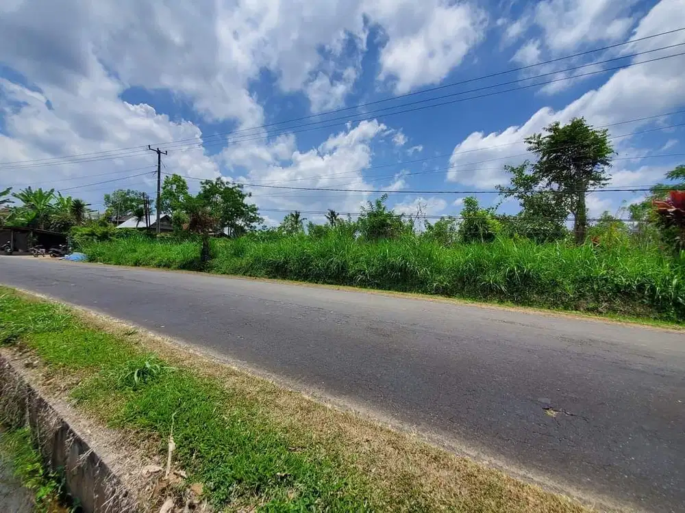 Tanah View Gunung Catur Sidan Petang Badung Bali