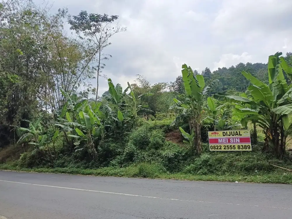 Dijual Tanah Luas Lokasi di Kalirejo Ungaran