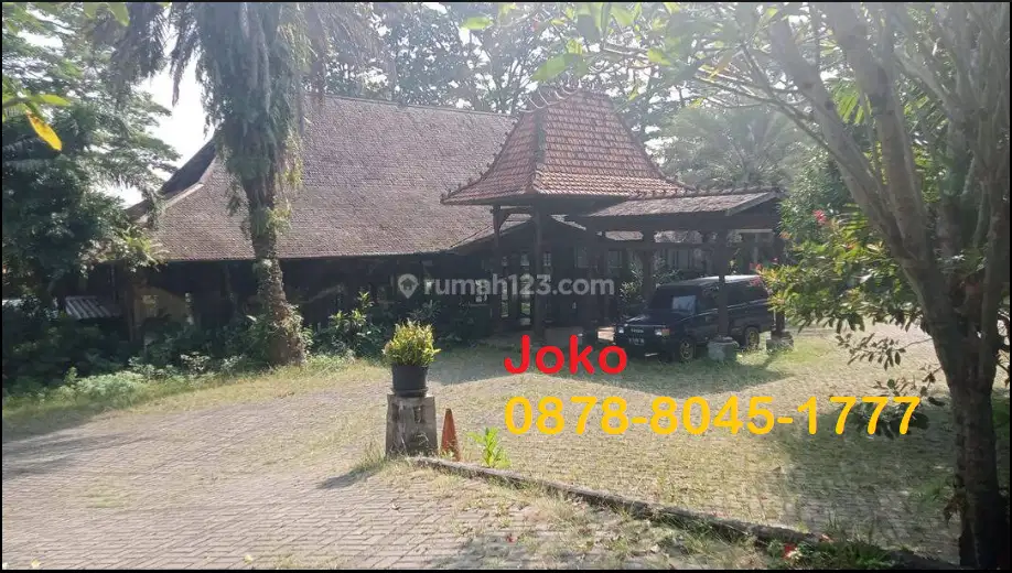 Lahan Istimewa TERMURAH Jauh BAWAH NJOP Jl. Jeruk Purut, Cilandak