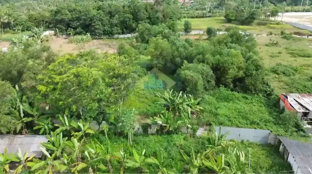DIJUAL TANAH ‼️ Tanah di Desa Cemplang,Jawilan Serang Banten