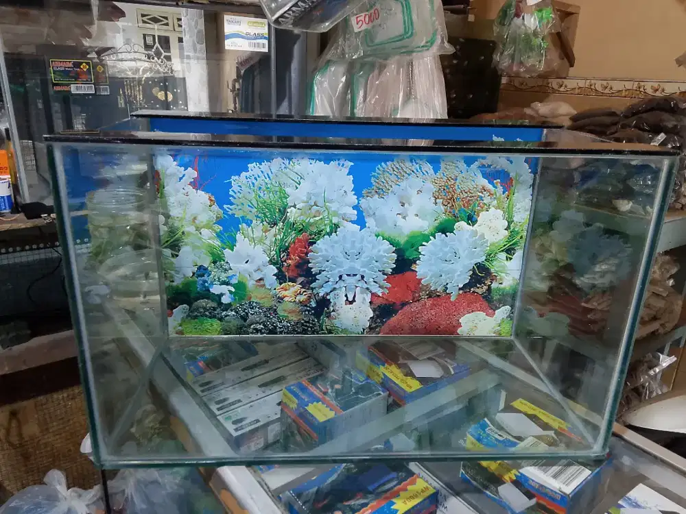 Aquarium ikan hias 50*25*30 baru