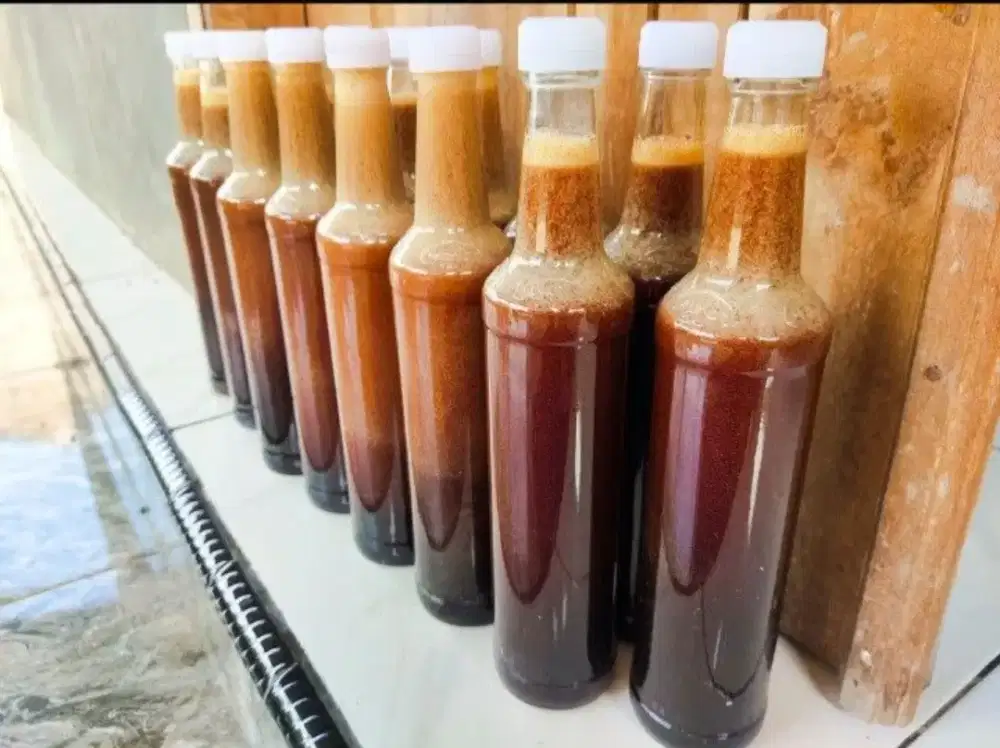 Madu hutan asli BIMA NTB