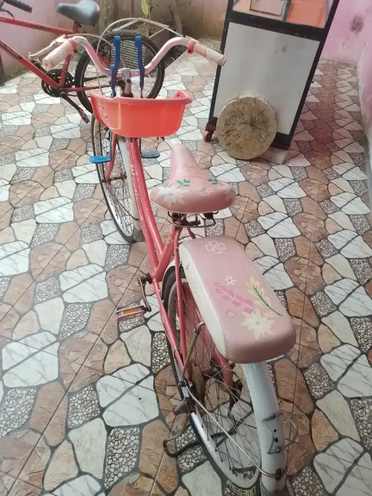 Di Jual sepeda wanita bekas