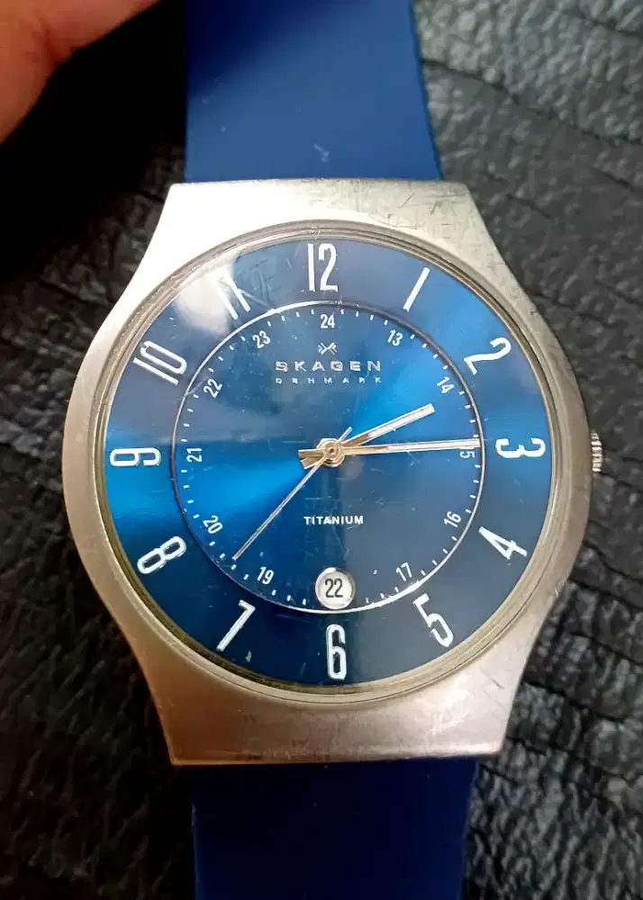 Skagen Denmark Titanium