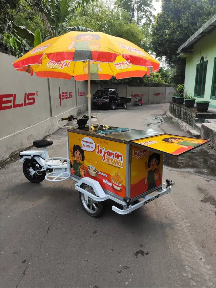 GEROBAK LISTRIK UNTUK USAHA BERJUALAN MAKANAN